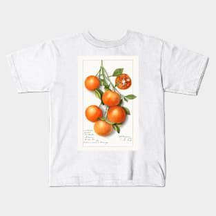 Oranges (Calamondian) (1919) Kids T-Shirt